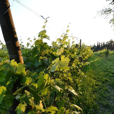 Rosalinde House Casa vacanze