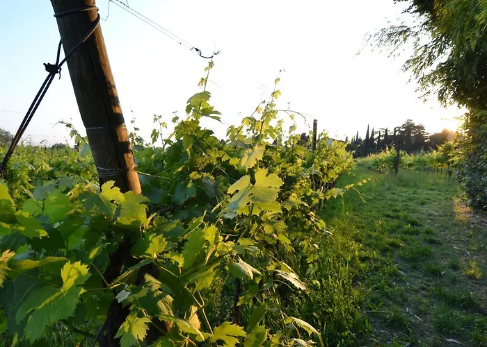 Rosalinde House Σπίτι διακοπών